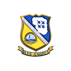 Blue Angels - M. Scott Media