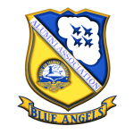 blue angles logo
